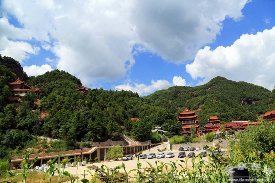 1502682539497060.jpg 7.jpg