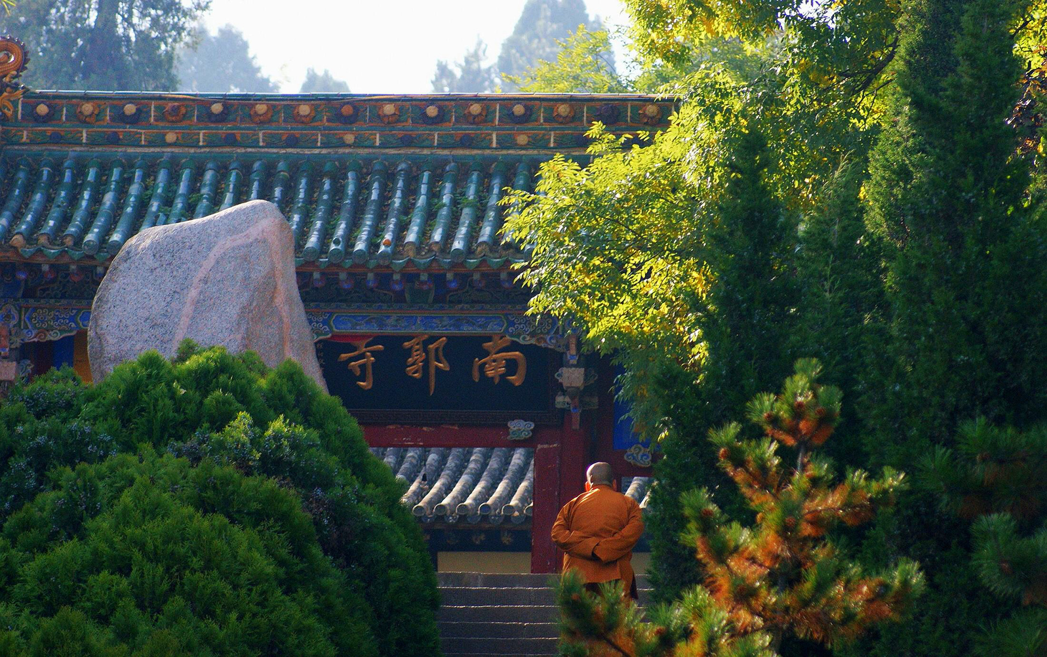 1503388225107321.jpg DSC07778摄影:张涛.jpg