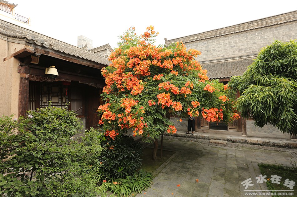 1503281183110643.jpg 1708201802fba2a0d84595526f.jpg