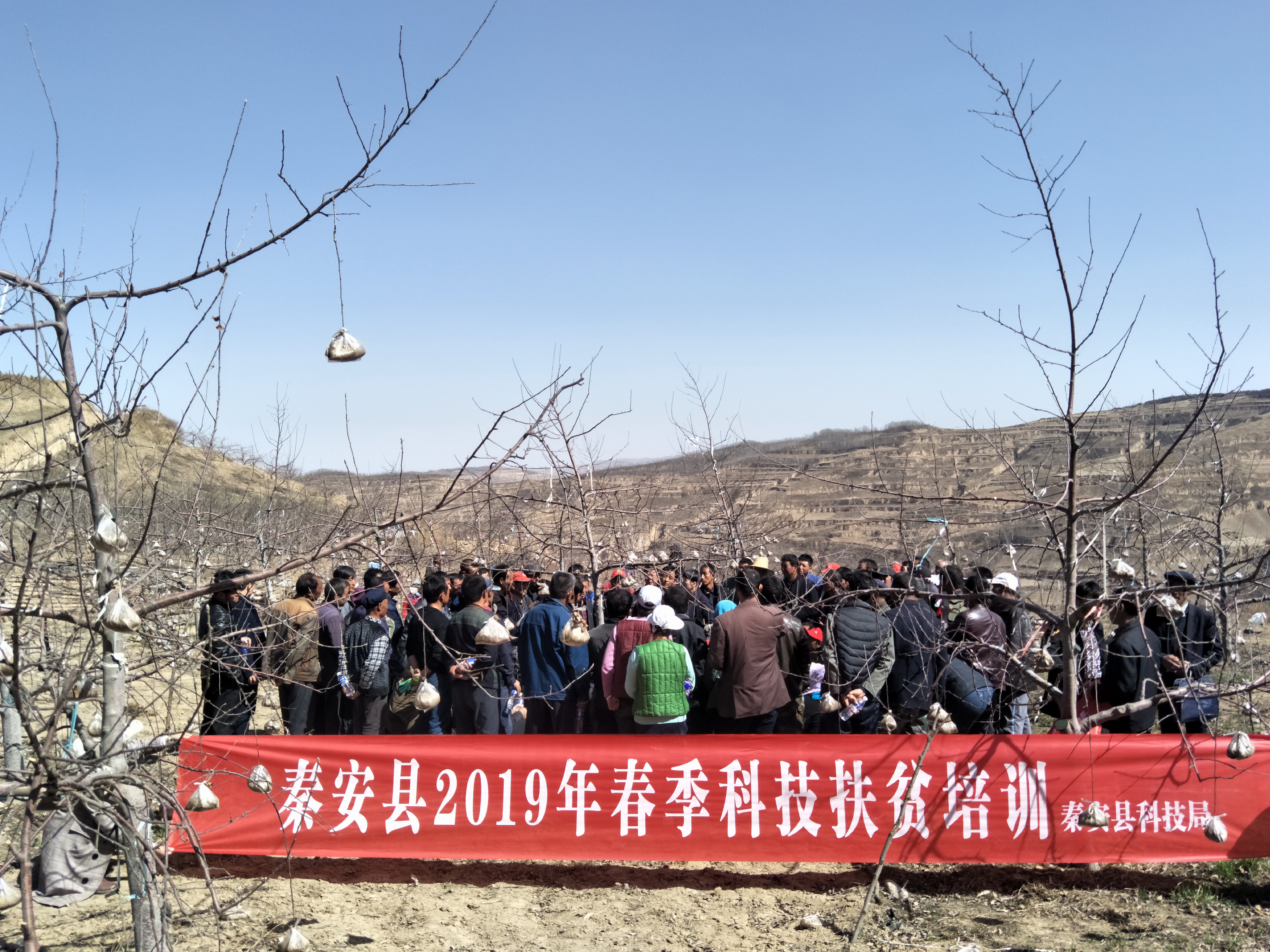 微信图片_201903291544333.jpg 微信图片_201903291544333.jpg