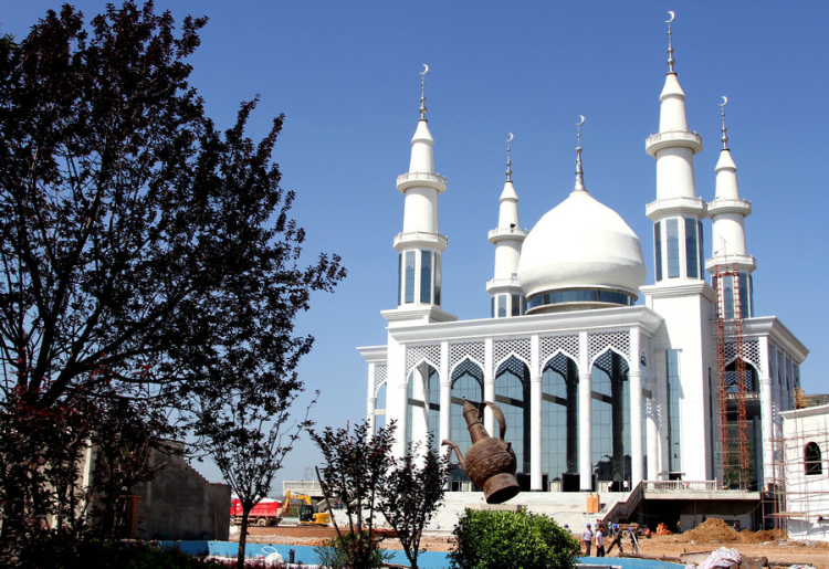 1501213814479847.jpg 8.jpg