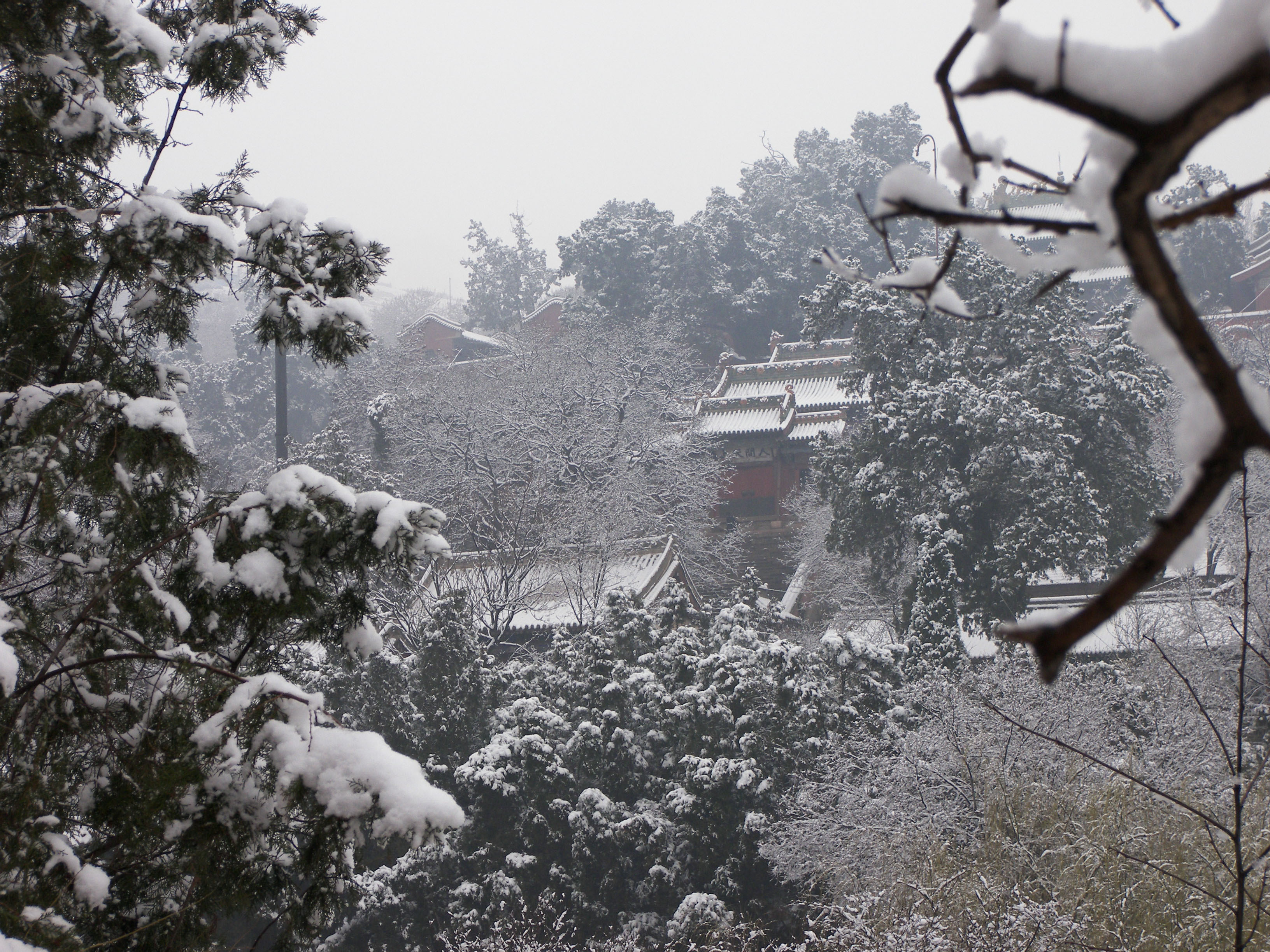 1499399460112898.jpg 玉泉观小.jpg