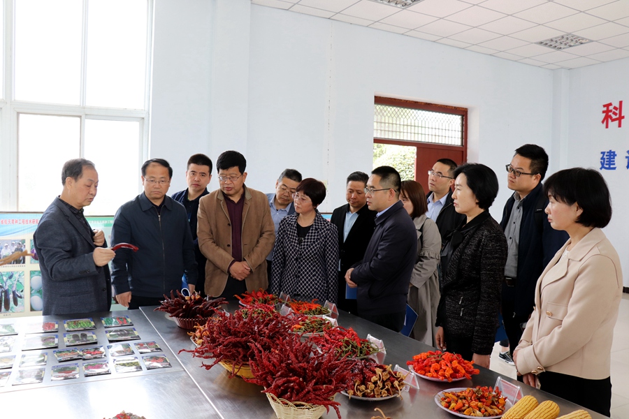 Canon 2019-04-17 Canon EOS 77D Canon EOS 77D F4.5 IMG_6306 18mm IMG_6306 ISO400 IMG_6306 Canon2.jpg