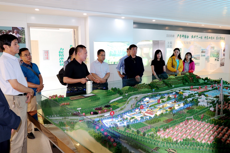 Canon 2019-07-08 Canon EOS 77D Canon EOS 77D F3.5 IMG_8169 18mm IMG_8169 ISO200 IMG_8169 Canon1.jpg