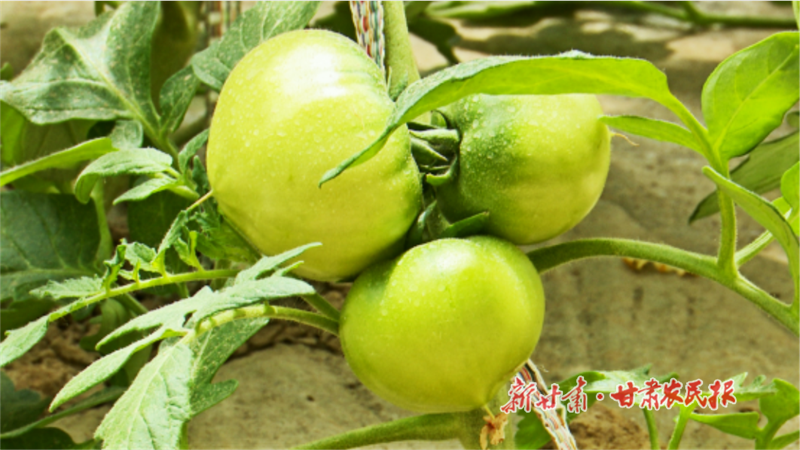 1749465824183561.png 3338.png