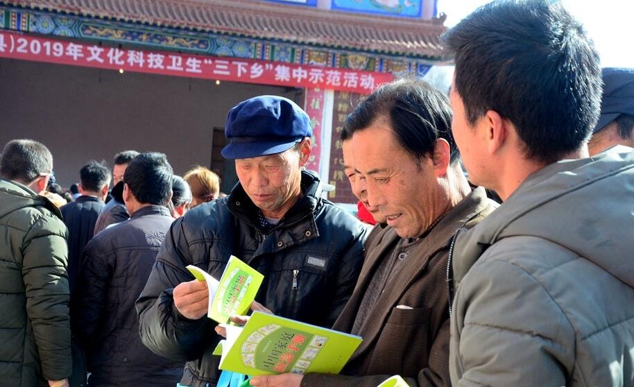 1548034707408801.jpg 9.jpg