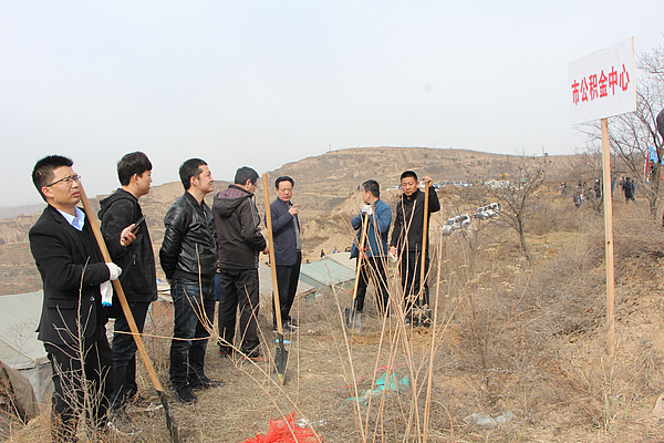 栽树4.jpg 栽树4.jpg