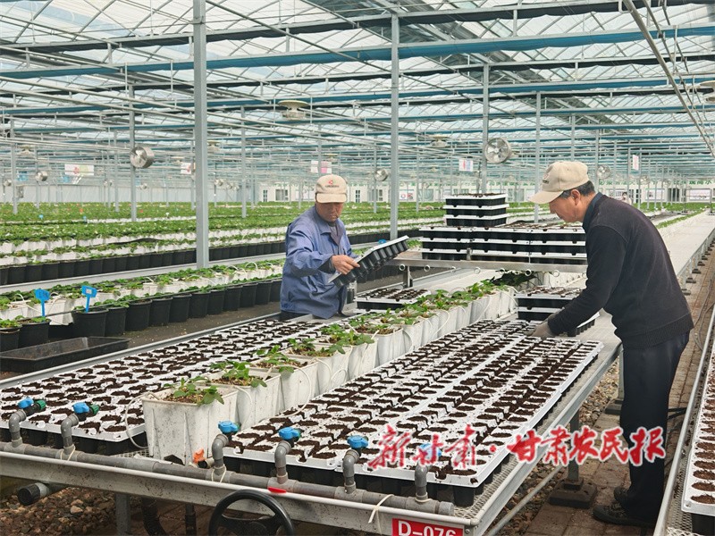 1749467105311155.jpg 1749465062199056251.jpg