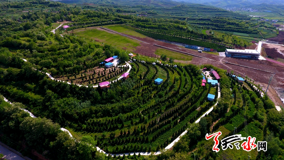 1512702722519823.jpg 10.jpg