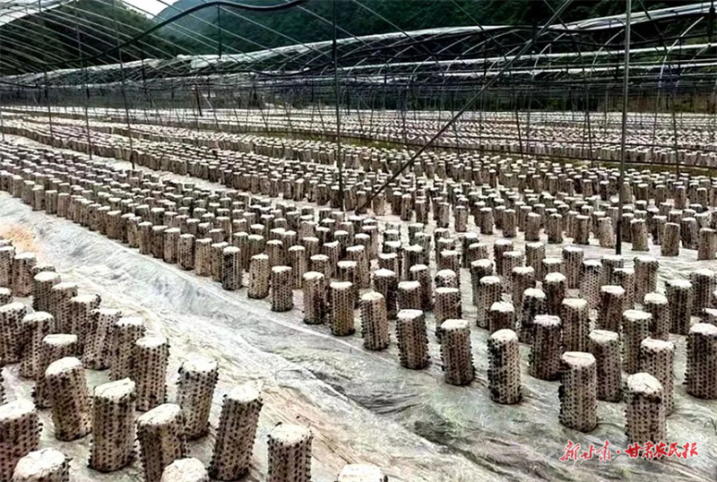 1702888553717508.jpg GetAttachment (1).jpg