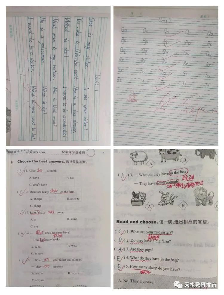 简篇-落实“双减”政策 优化作业管理——新华门小学玉成分校赴集团校本部参加精品作业展评纪实 图片