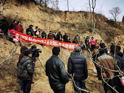 2.27开展果树技术培训 助力特色农业发展 (1)613.png