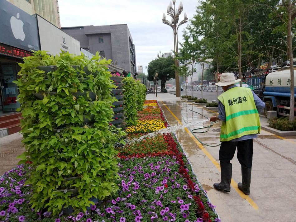 1529640269784899.jpg IMGb083fe7c568147963661161.jpg