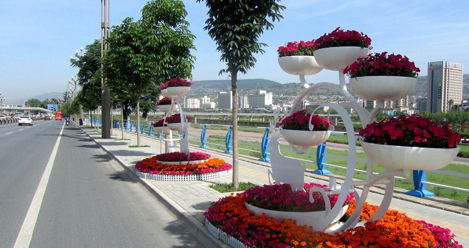 1529640388750043.jpg IMGb083fe7c568147963661470.jpg