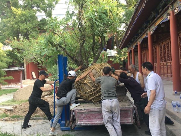 微信图片_20220711165816.jpg 微信图片_20220711165816.jpg