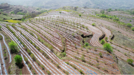 四月春光好 产业培育忙208.png