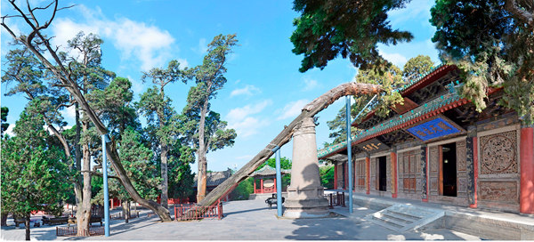 20230103_115325_002.jpg 20230103_115325_002.jpg