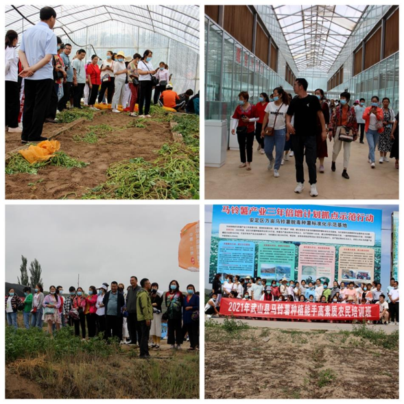 武山县举办2021年马铃薯种植能手高素质农民培育培训班 (1)655.png