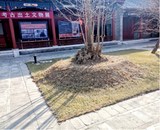 伏羲庙添新景 助力创5A390.png 伏羲庙添新景 助力创5A390.png