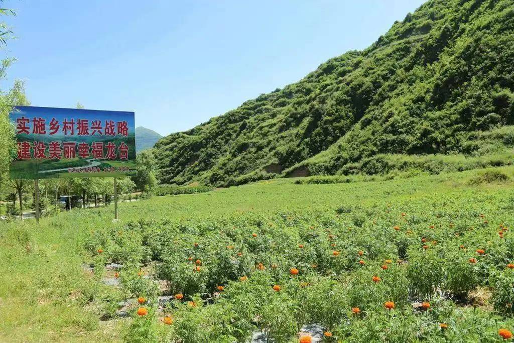 微信图片_20220603202516.jpg 微信图片_20220603202516.jpg