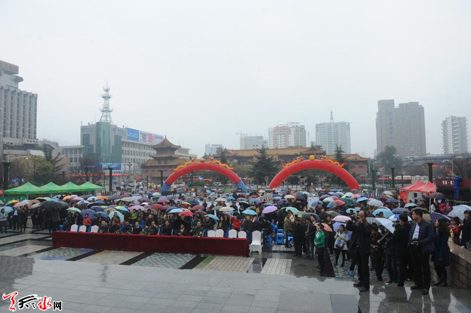 1511162491792516.jpg 7.jpg