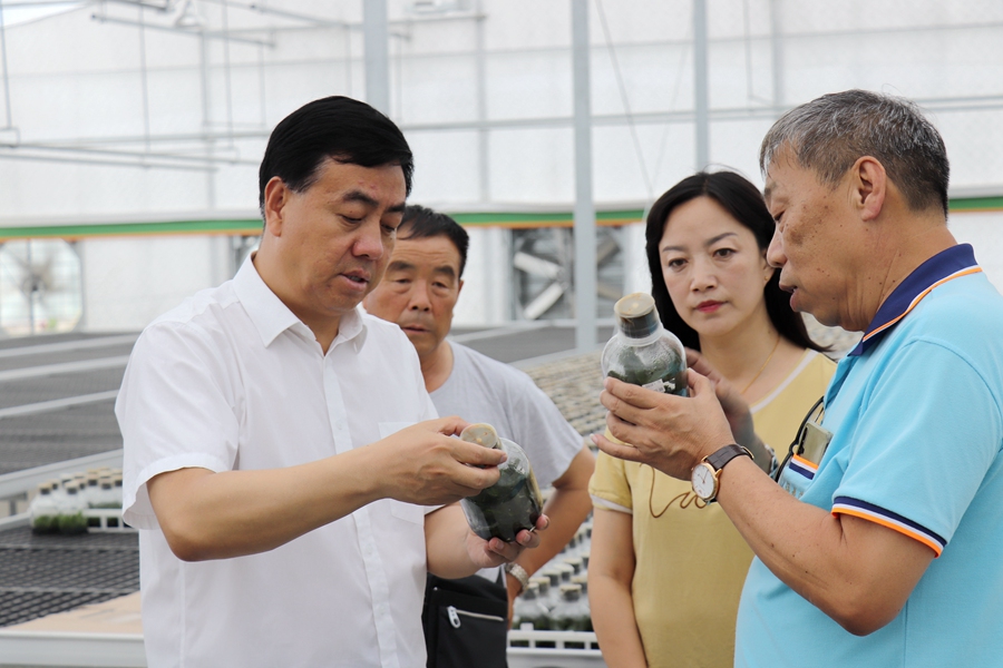 Canon EOS 77D F5.0 1_60s ISO1253.jpg