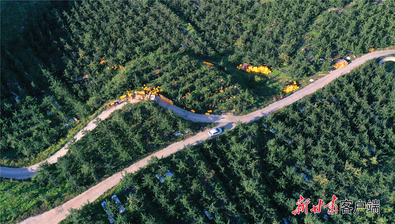 FZ007235862292_A4772898 FZ007235862292_A4772898