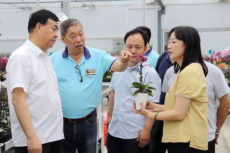 Canon EOS 77D F5.6 1_80s ISO1003.jpg