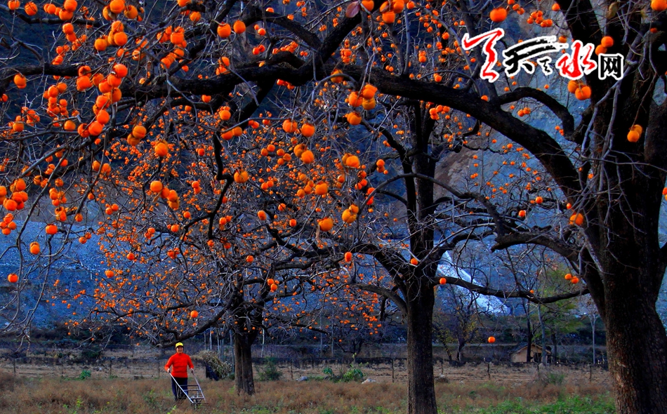 1511162590629210.jpg 9.jpg