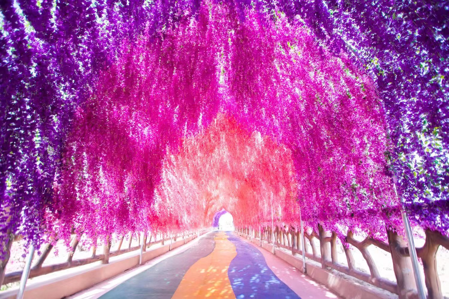 微信图片_20220603195704.jpg 微信图片_20220603195704.jpg