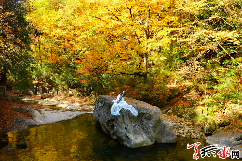 1511163106258190.jpg 39.JPG