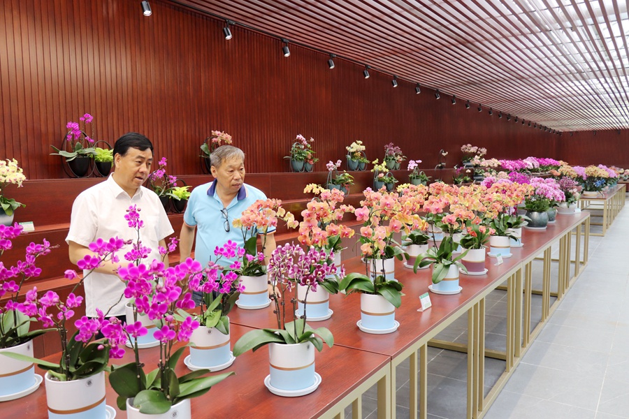 Canon EOS 77D F3.5 1_40s ISO6403.jpg