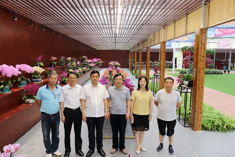 Canon EOS 77D F3.5 1_30s ISO4003.jpg