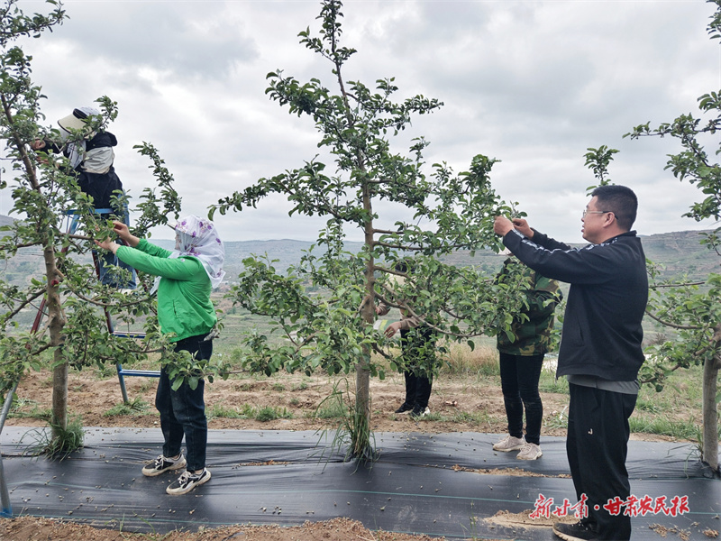 3ce9dc8a6a5e0d64afcfbb50d29597e