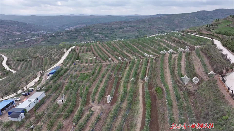 e58dc0d7ed550f42d60690c8793f21d