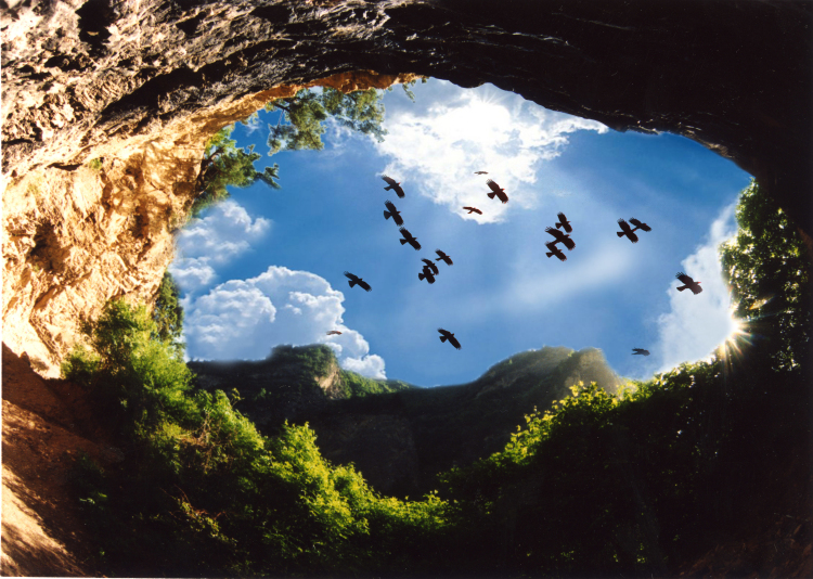 1501209433497275.jpg 12.jpg