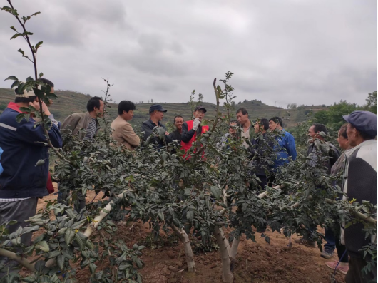 2022年第53期 秦州区科技局开展秋季椒园管理技术志愿服务活动76.png