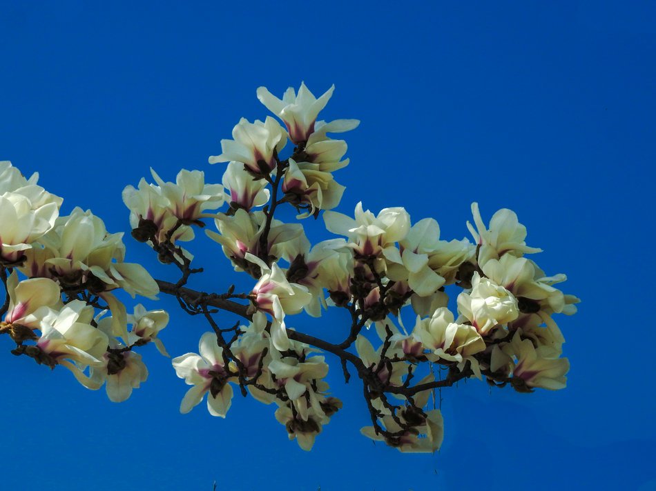 89adb021e54341d19a06abd341138cef.jpeg 89adb021e54341d19a06abd341138cef.jpeg