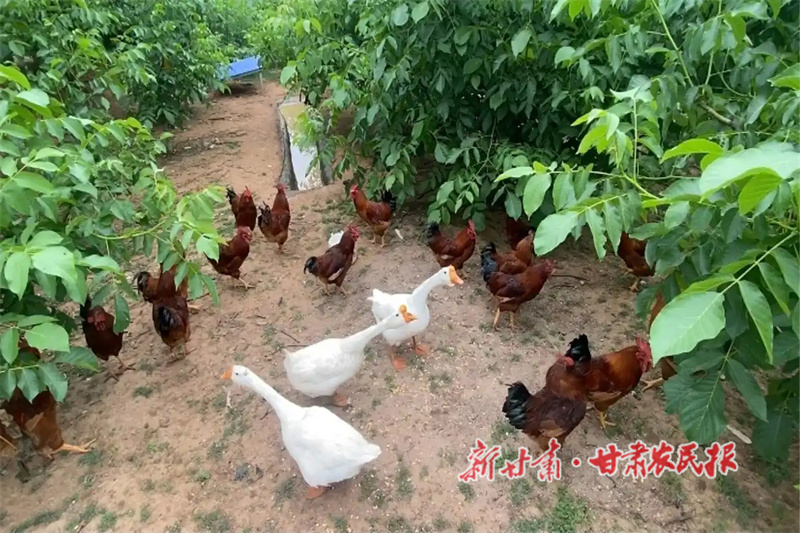 1755252428542544.jpg dcc451da81cb39db45d8602f11b4fd2baa1830e5.jpg