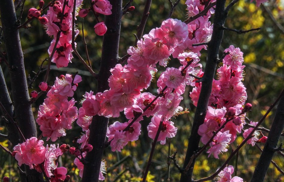 4b2d19af4e0e4b9f8b768ae3eb169234.jpeg 4b2d19af4e0e4b9f8b768ae3eb169234.jpeg