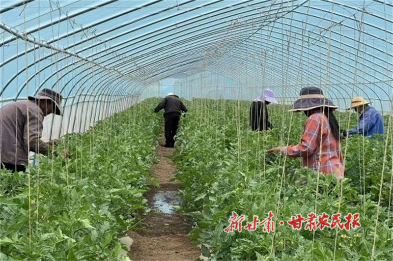 1755252257881247.png 1752805888601052099.png