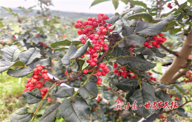 1755251452193985.png 1754532433791023102.png