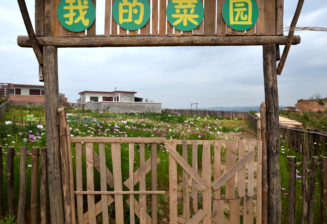 1535700362928324.jpg IMG448a5b4f79df48567907368.jpg