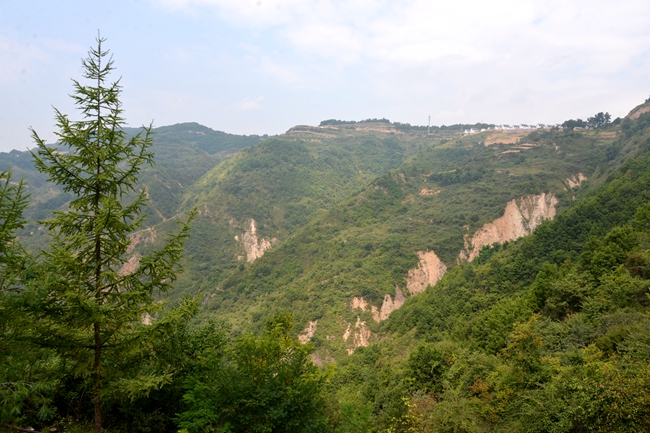 1535700378841701.jpg IMG448a5b4f79df48567908269.jpg