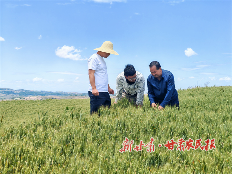 1749466947665667.jpg 1749464762645029986.jpg