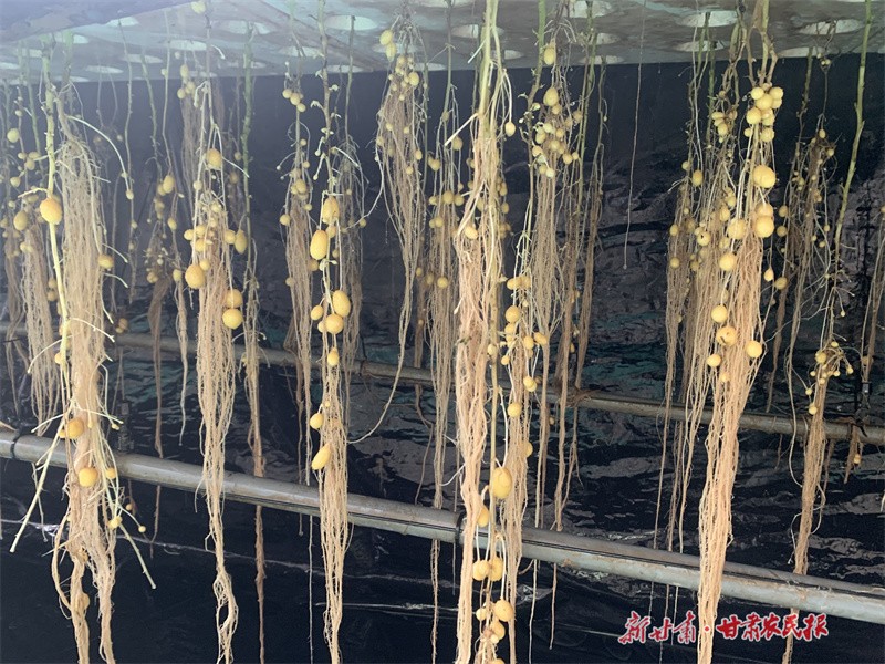 1708678744723903.jpg GetAttachment (7).jpg