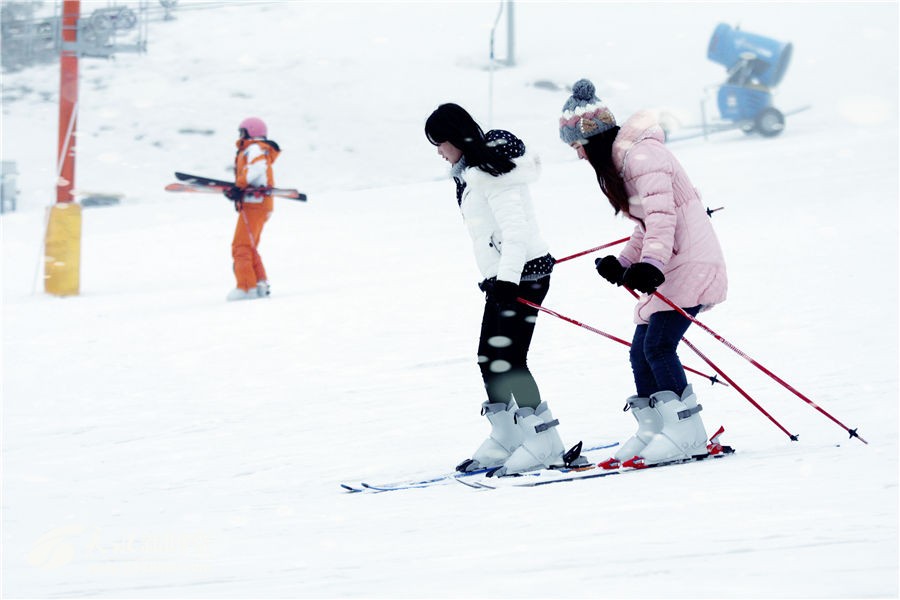 1512631907444733.jpg 04123392nv3n302b2ni9b6.jpg