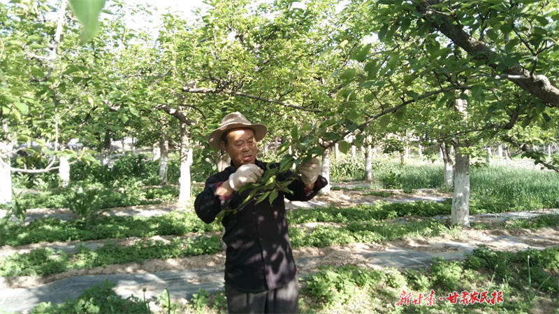 微信图片_20240523181156