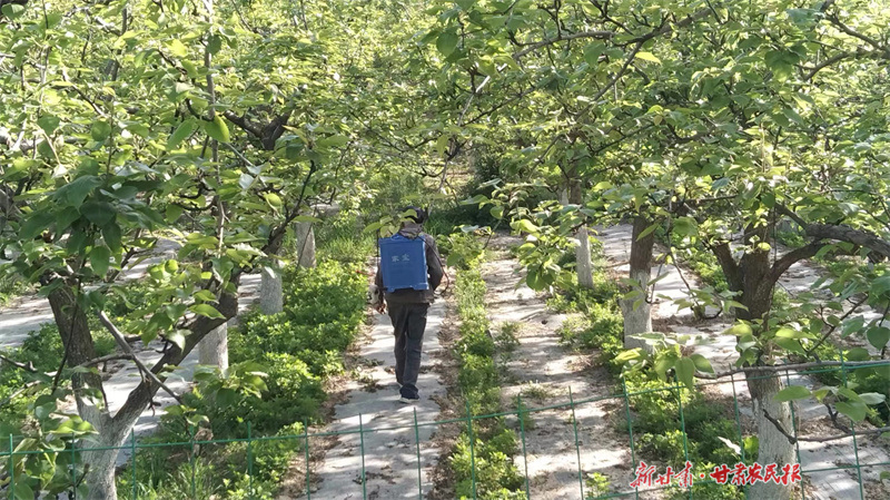 微信图片_20240523181159