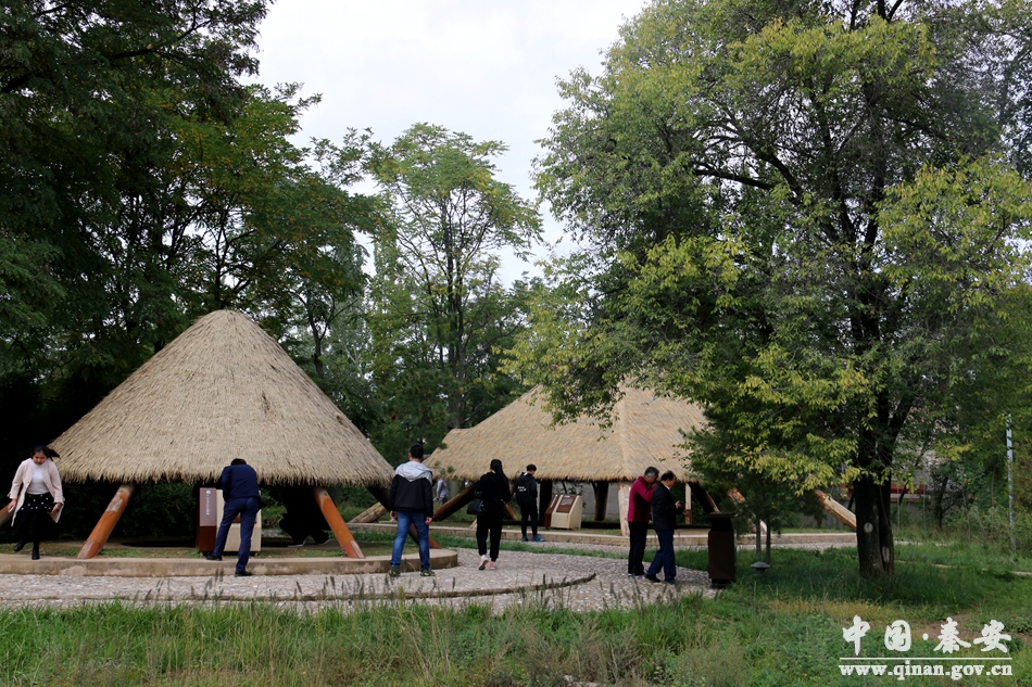 1507532899106649.jpg 3.jpg